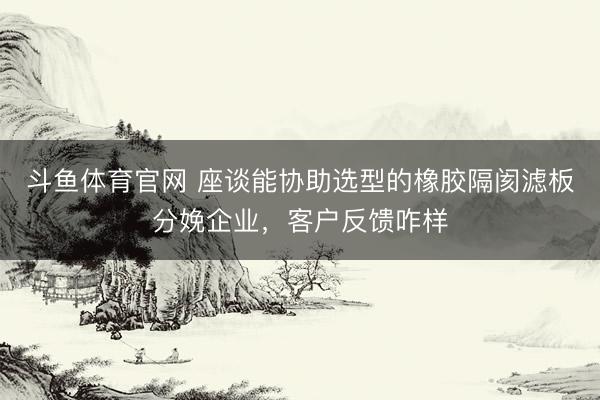 斗鱼体育官网 座谈能协助选型的橡胶隔阂滤板分娩企业，客户反馈咋样