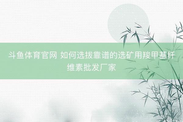 斗鱼体育官网 如何选拔靠谱的选矿用羧甲基纤维素批发厂家