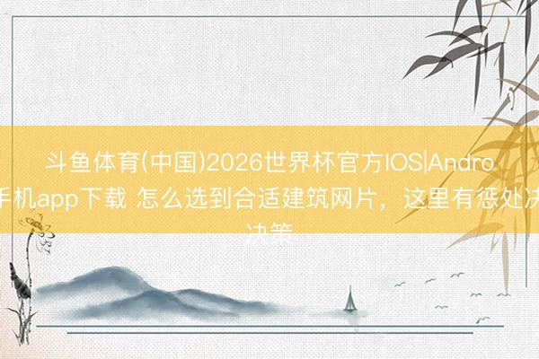 斗鱼体育(中国)2026世界杯官方IOS|Android手机app下载 怎么选到合适建筑网片，这里有惩处决策