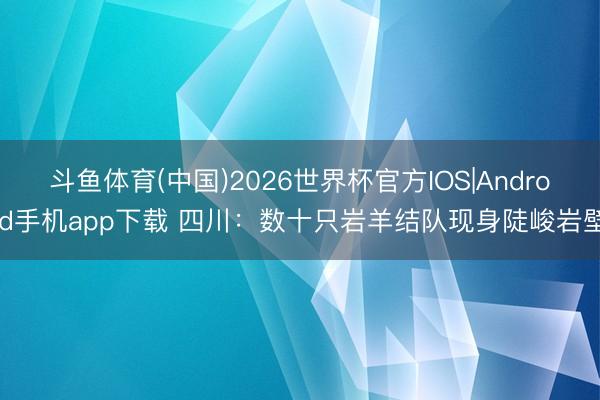 斗鱼体育(中国)2026世界杯官方IOS|Android手机app下载 四川：数十只岩羊结队现身陡峻岩壁