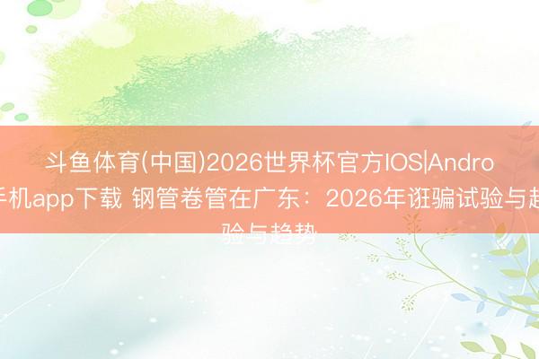 斗鱼体育(中国)2026世界杯官方IOS|Android手机app下载 钢管卷管在广东：2026年诳骗试验与趋势