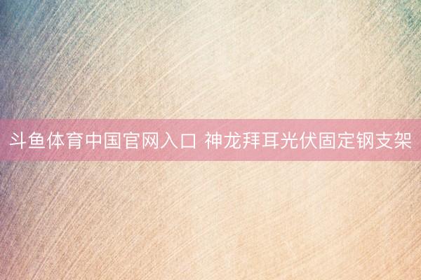 斗鱼体育中国官网入口 神龙拜耳光伏固定钢支架