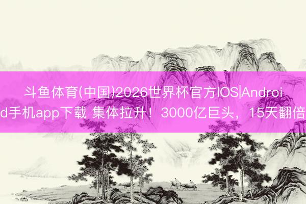 斗鱼体育(中国)2026世界杯官方IOS|Android手机app下载 集体拉升！3000亿巨头，15天翻倍