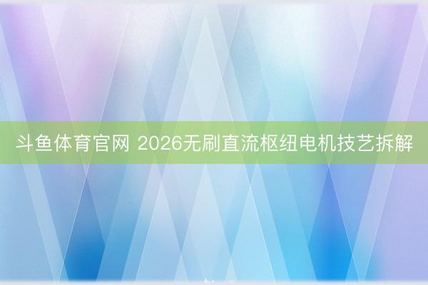 斗鱼体育官网 2026无刷直流枢纽电机技艺拆解