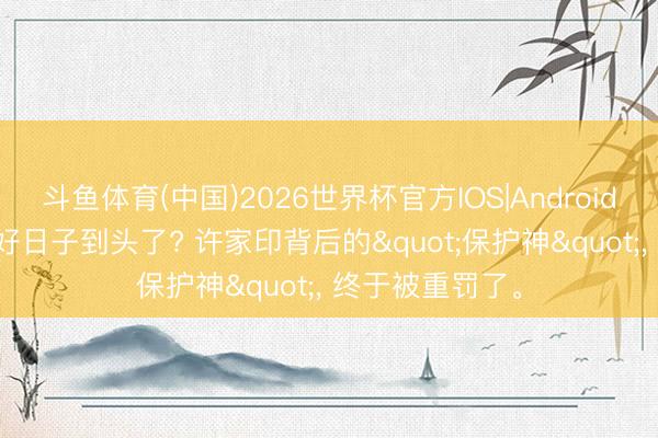 斗鱼体育(中国)2026世界杯官方IOS|Android手机app下载 好日子到头了? 许家印背后的"保护神"， 终于被重罚了。