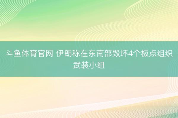 斗鱼体育官网 伊朗称在东南部毁坏4个极点组织武装小组