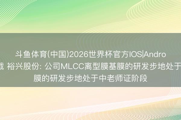 斗鱼体育(中国)2026世界杯官方IOS|Android手机app下载 裕兴股份: 公司MLCC离型膜基膜的研发步地处于中老师证阶段