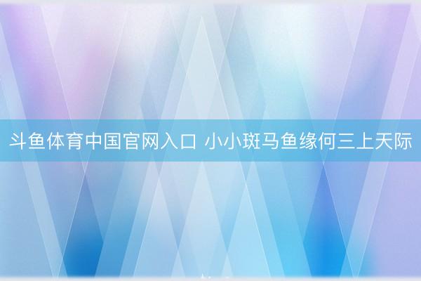 斗鱼体育中国官网入口 小小斑马鱼缘何三上天际